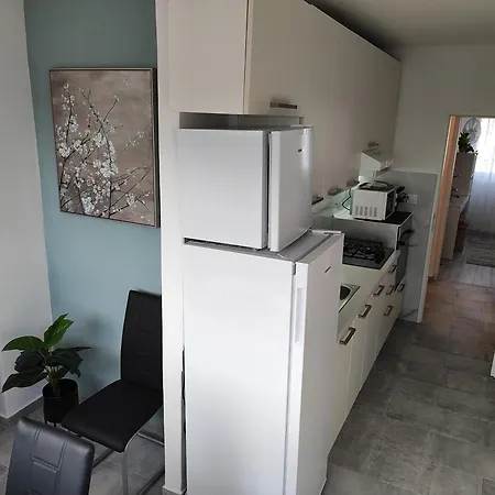 With Garage Appartement