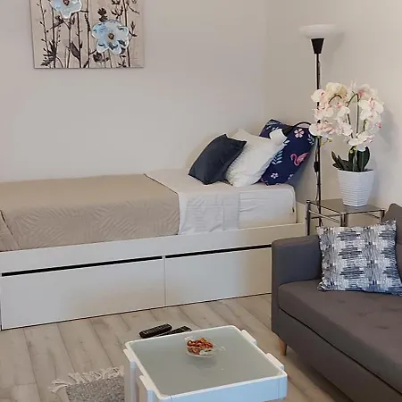 With Garage Appartement