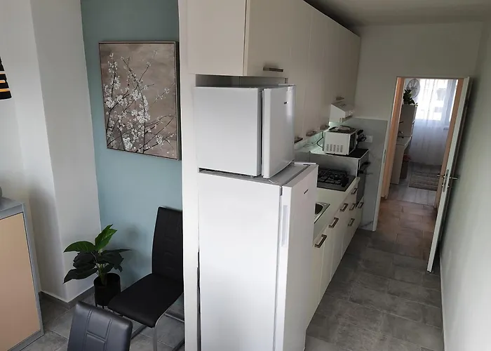 With Garage Apartment