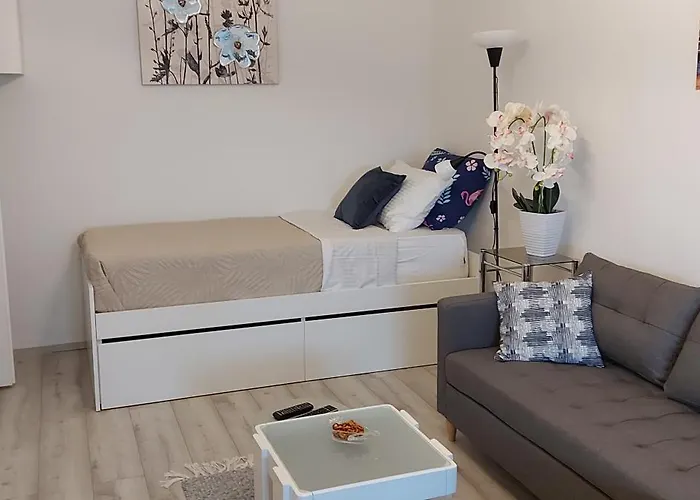 With Garage Apartment