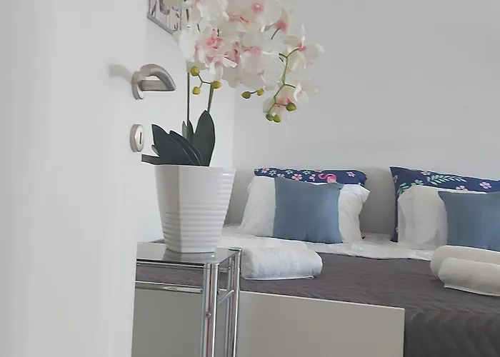 With Garage Apartment *