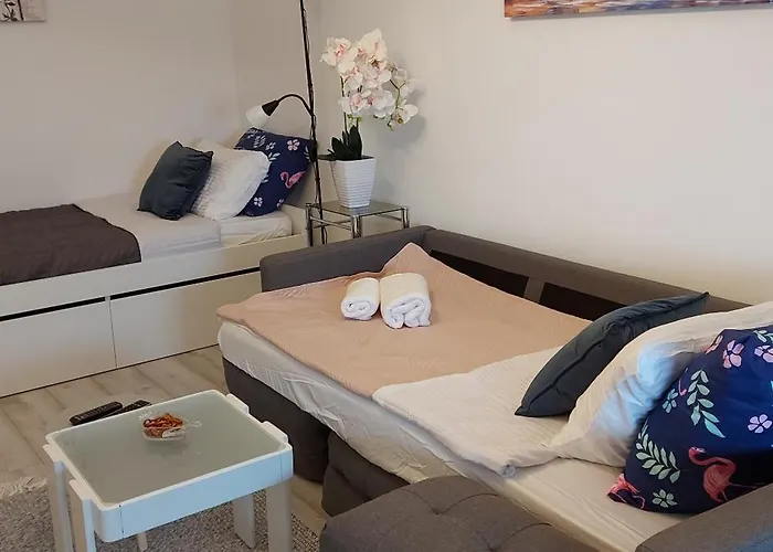 With Garage Apartment